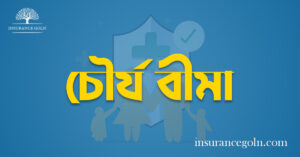 চৌর্য বীমা