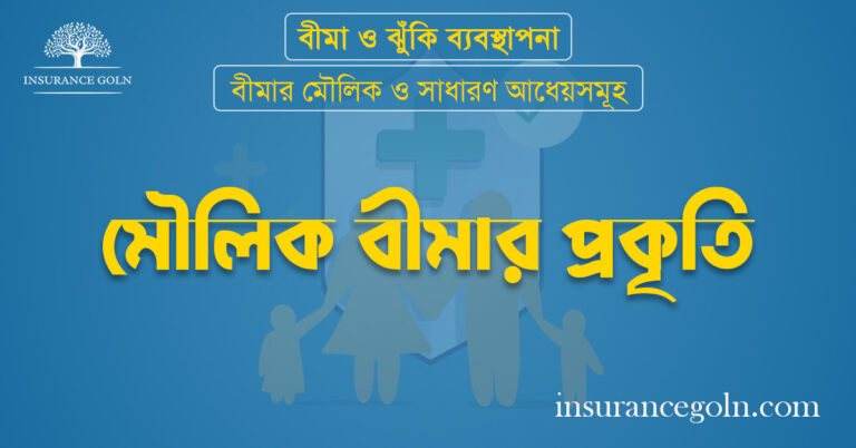 মৌলিক বীমার প্রকৃতি