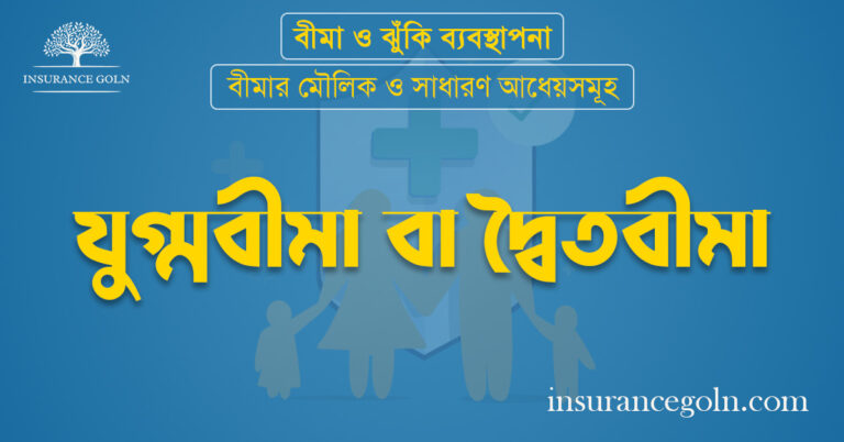 যুগ্মবীমা বা দ্বৈতবীমা