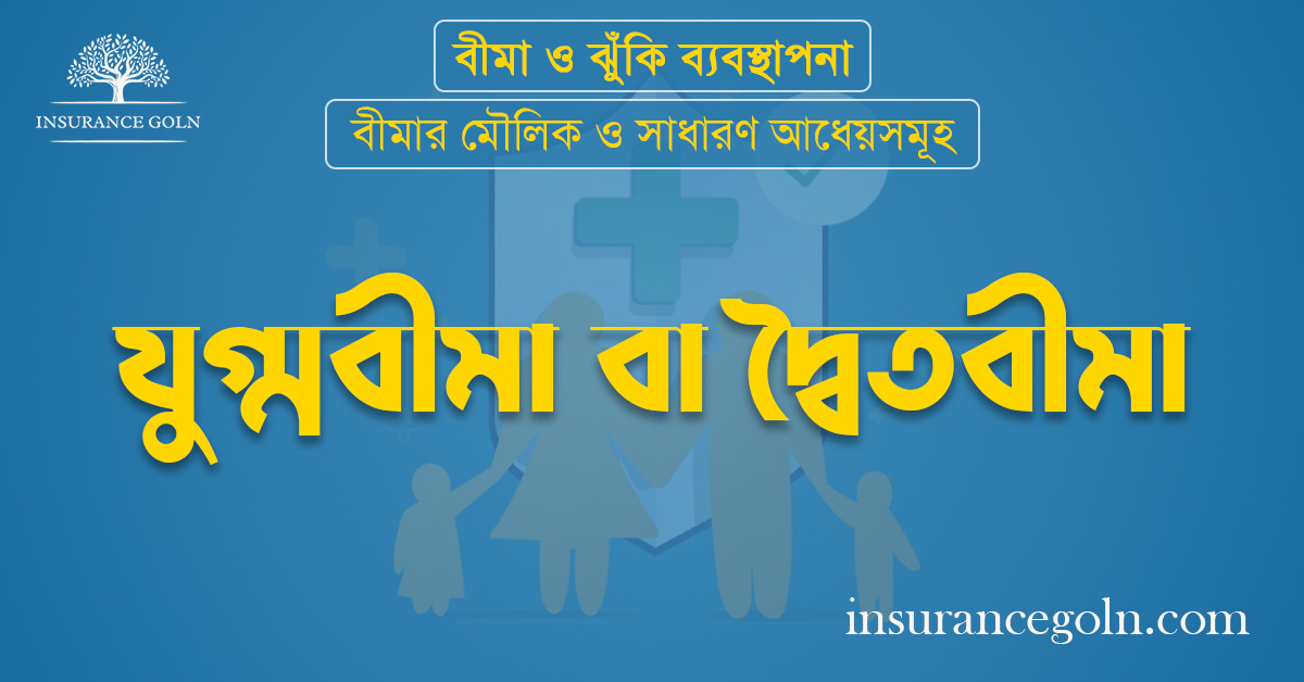 যুগ্মবীমা বা দ্বৈতবীমা