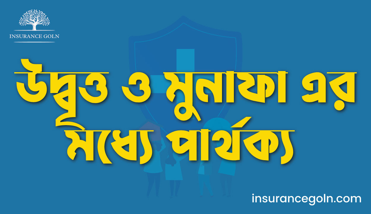 উদ্বৃত্ত ও মুনাফা এর মধ্যে পার্থক্য